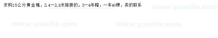 求購(gòu)15公分黃金槐