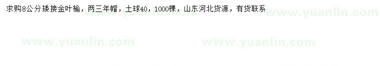 求購8公分金葉榆
