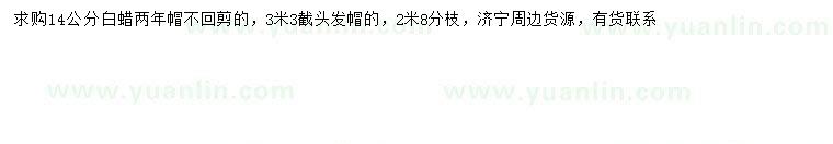 求購14公分白蠟