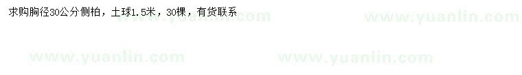 求購(gòu)胸徑30公分側(cè)柏