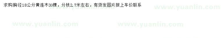 求購胸徑18公分黃連木