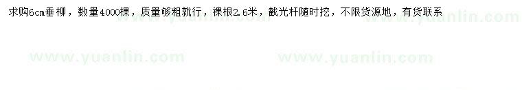 求購6公分垂柳