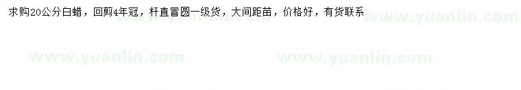 求購20公分白蠟