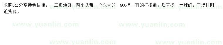 求購6公分高接金枝槐
