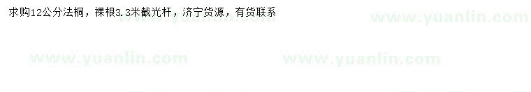 求購(gòu)12公分法桐