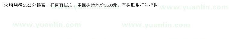 求購(gòu)胸徑25公分銀杏