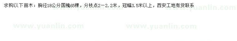 求購胸徑18公分國槐