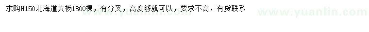 求購高150公分北海道黃楊