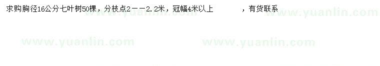 求購(gòu)胸徑16公分七葉樹