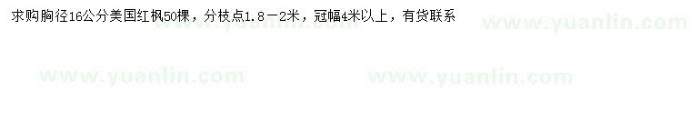 求購胸徑16公分美國紅楓
