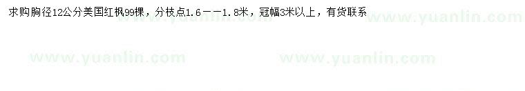 求購胸徑12公分美國紅楓
