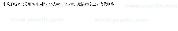 求購胸徑15公分娜塔櫟