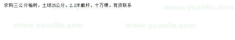 求購3公分榆樹