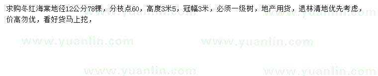 求購(gòu)地徑12公分冬紅海棠