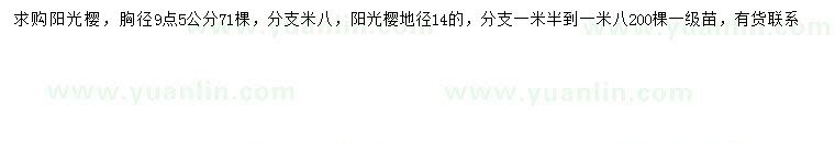 求購(gòu)胸徑9.5、地徑14公分陽(yáng)光櫻