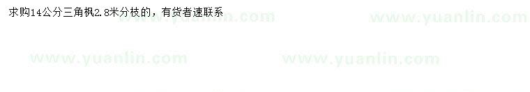求購14公分三角楓