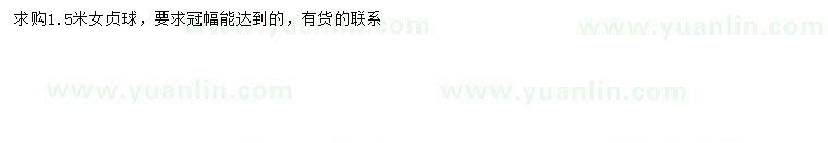 求購1.5米女貞球