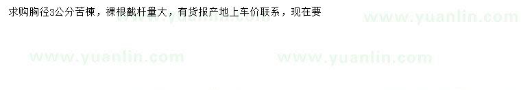 求購胸徑3公分苦楝