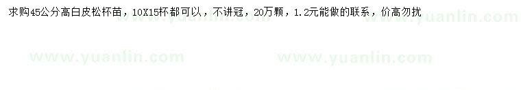 求購(gòu)高45公分白皮松