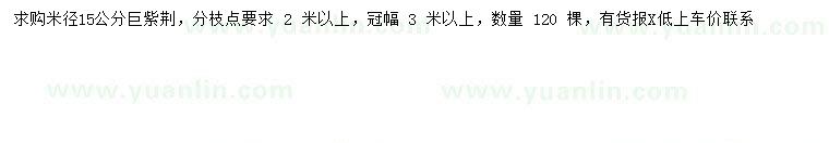 求購米徑15公分巨紫荊