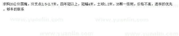 求購20公分國槐