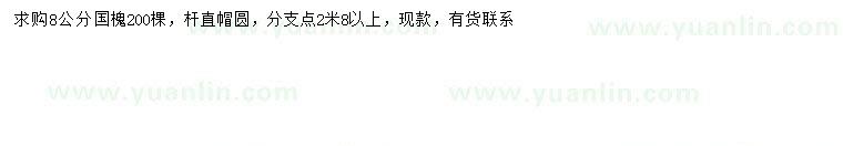 求購8公分國槐