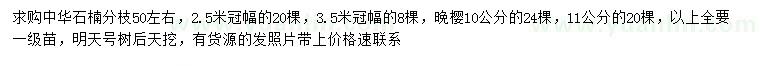 求購冠幅2.5、3.5米中華石楠、10、11公分晚櫻