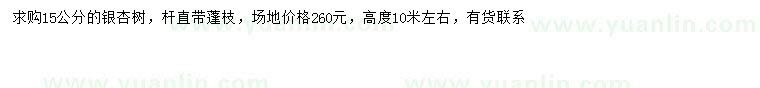求購15公分銀杏