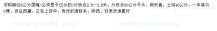 求購胸徑6公分國槐
