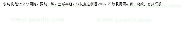 求購胸徑12公分國槐
