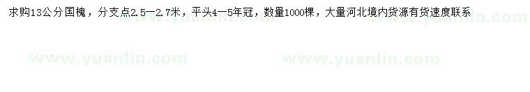求購(gòu)13公分國(guó)槐
