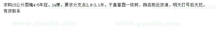 求購(gòu)15公分國(guó)槐