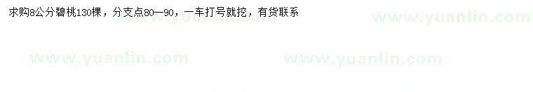 求購8公分碧桃