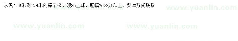 求購1.9-2.4米樟子松