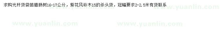 求購(gòu)16-17公分臘腸、15公分紫花風(fēng)鈴木