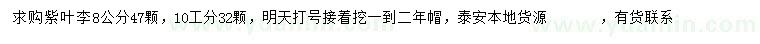 求購(gòu)8、10公分紫葉李