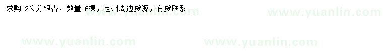 求購12公分銀杏