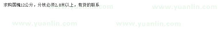 求購12公分國槐