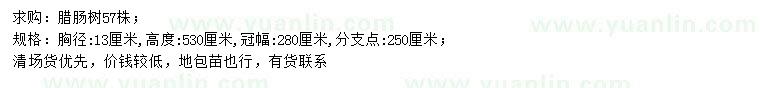 求購(gòu)胸徑13公分臘腸樹