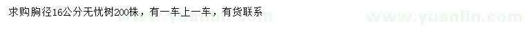 求購胸徑16公分無憂樹