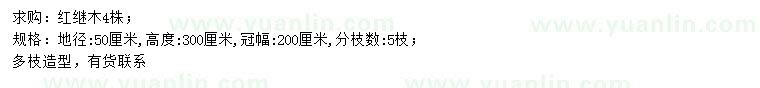 求購地徑50公分紅繼木