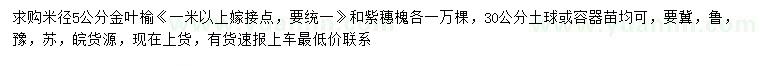 求購米徑5公分金葉榆、紫穗槐