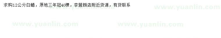 求購12公分白蠟