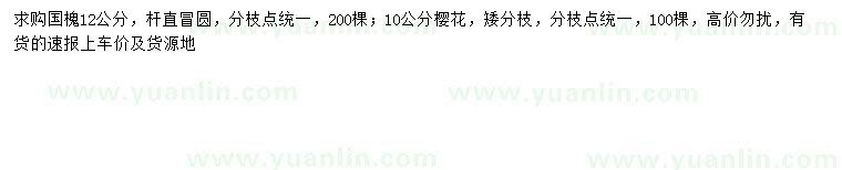 求購(gòu)12公分國(guó)槐、10公分櫻花