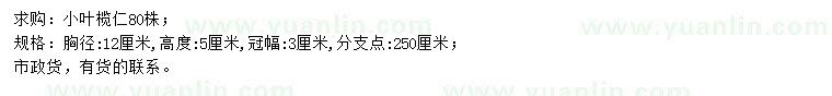 求購胸徑12公分小葉欖仁