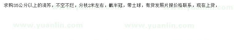 求購35公分以上流蘇