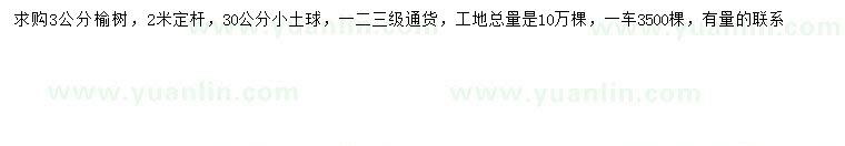 求購3公分榆樹