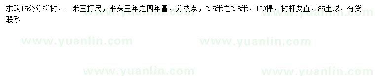 求購15公分柳樹