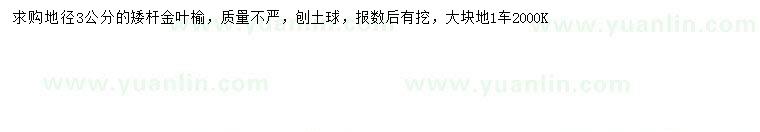 求購(gòu)地徑3公分金葉榆