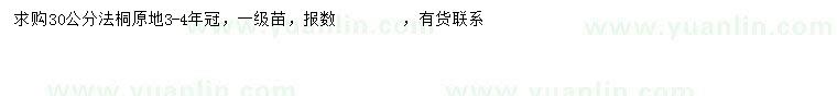 求購30公分法桐